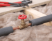 Efficient Heat: The Complete Guide to Choosing and Maintaining Hot Water Systems in Australia