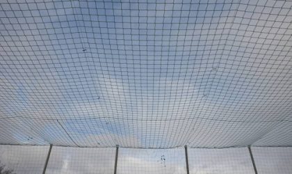 Choosing the Right Bird Netting Material: A Comprehensive Guide