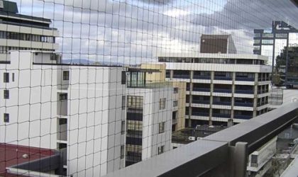 Innovative Bird Netting Solutions for Urban Areas