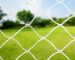 Common Mistakes to Avoid When Installing Bird Netting