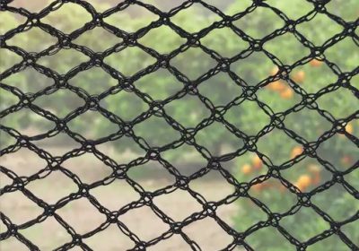 Comparing Bird Netting with Other Bird Control Methods: Pros and Cons