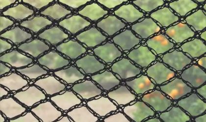 Comparing Bird Netting with Other Bird Control Methods: Pros and Cons