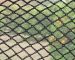 Comparing Bird Netting with Other Bird Control Methods: Pros and Cons