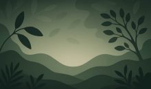 Guide to Possums as Pests in the Australian Home
