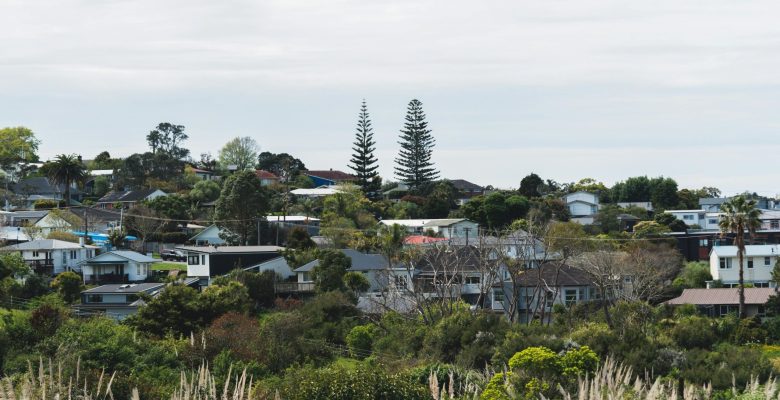 Insulation Guide for Homeowners – Warm and Dry Homes in the Central Plateau of New Zealand